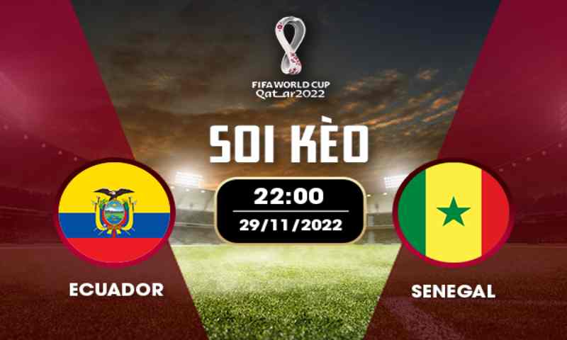 Thông tin giữa đội tuyển Ecuador vs Senegal